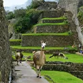 Parque de Machu Picchu